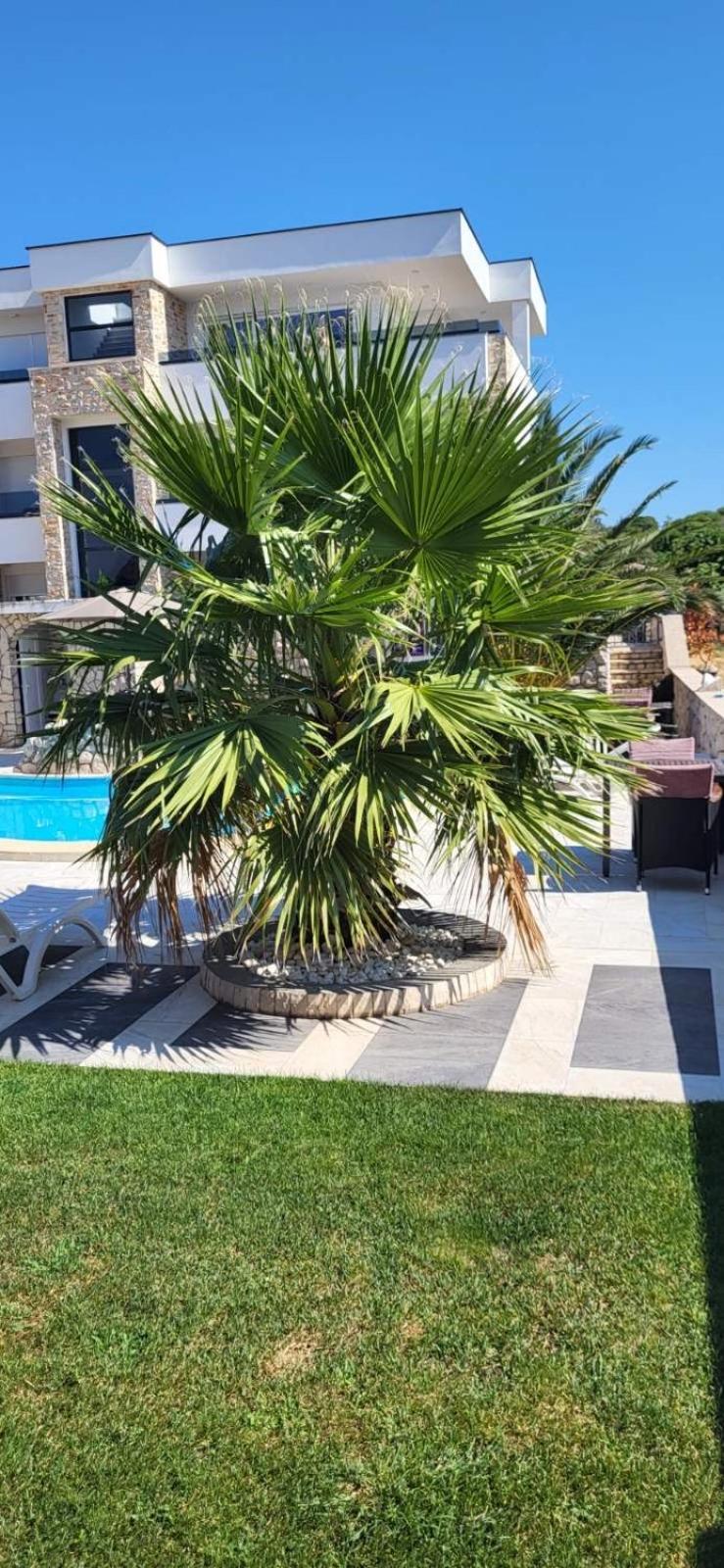 Apartments Albatross Novalja Dış mekan fotoğraf