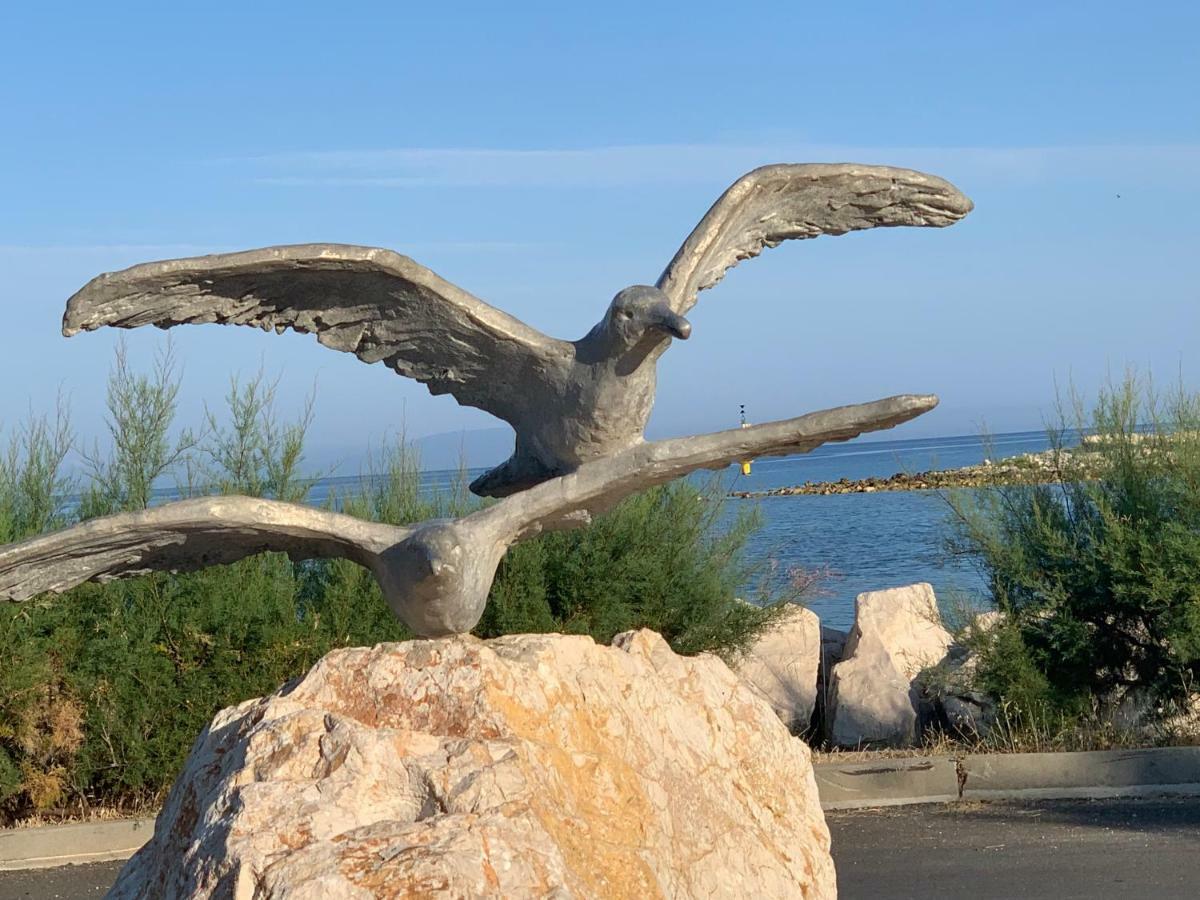 Apartments Albatross Novalja Dış mekan fotoğraf